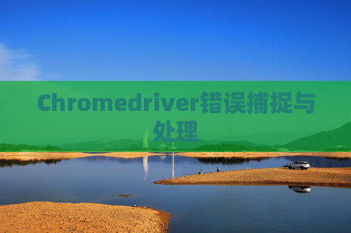 Chromedriver错误捕捉与处理 Chromedriver错误捕捉与处理